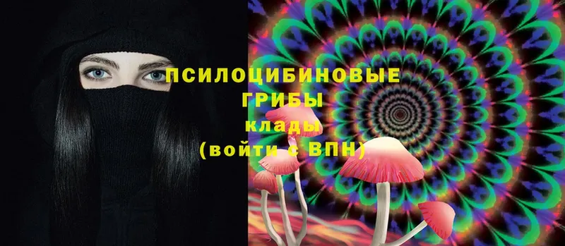 Псилоцибиновые грибы Cubensis  Северск 